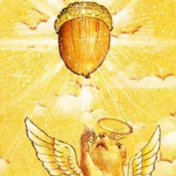 Nutgod Token